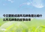 今日更新成语凤毛麟角是比喻什么凤毛麟角的故事由来