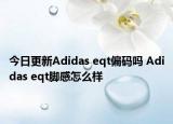 今日更新Adidas eqt偏码吗 Adidas eqt脚感怎么样