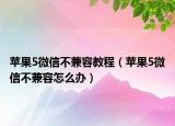 苹果5微信不兼容教程（苹果5微信不兼容怎么办）