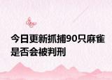 今日更新抓捕90只麻雀是否会被判刑