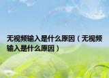 无视频输入是什么原因（无视频输入是什么原因）