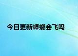 今日更新蟑螂会飞吗