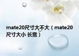 mate20尺寸大不大（mate20尺寸大小 长宽）