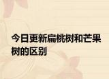 今日更新扁桃树和芒果树的区别