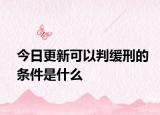 今日更新可以判缓刑的条件是什么