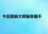 今日更新大熊猫冬眠不
