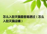 怎么入驻天猫最容易通过（怎么入驻天猫店铺）