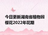 今日更新湖南省植物园樱花2022年花期