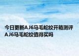 今日更新AJ6马毛蛇纹开箱测评 AJ6马毛蛇纹值得买吗