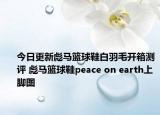 今日更新彪马篮球鞋白羽毛开箱测评 彪马篮球鞋peace on earth上脚图
