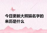 今日更新大熊猫名字的来历是什么