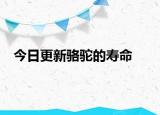 今日更新骆驼的寿命