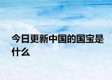 今日更新中国的国宝是什么