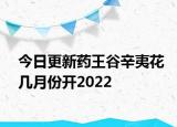 今日更新药王谷辛夷花几月份开2022