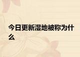 今日更新湿地被称为什么