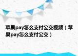 苹果pay怎么支付公交视频（苹果pay怎么支付公交）