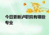 今日更新泸职院有哪些专业