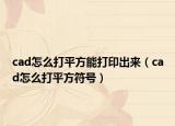cad怎么打平方能打印出来（cad怎么打平方符号）