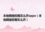 本地网络权限怎么开oppo（本地网络权限怎么开）