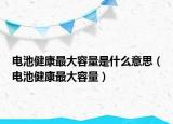 电池健康最大容量是什么意思（电池健康最大容量）