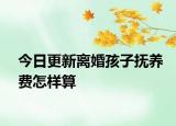 今日更新离婚孩子抚养费怎样算