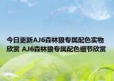 今日更新AJ6森林狼专属配色实物欣赏 AJ6森林狼专属配色细节欣赏