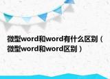 微型word和word有什么区别（微型word和word区别）