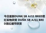 今日更新DUNK SB AJ11 BRED黑红实物欣赏 DUNK SB AJ11 BRED黑红细节欣赏