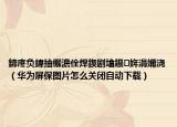 鍗庝负鍏抽棴澹佺焊鍥剧墖鑷姩涓嬭浇（华为屏保图片怎么关闭自动下载）