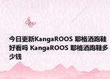 今日更新KangaROOS 耶格酒跑鞋好看吗 KangaROOS 耶格酒跑鞋多少钱