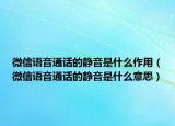 微信语音通话的静音是什么作用（微信语音通话的静音是什么意思）