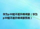 华为p30能不能升级鸿蒙（华为p30能不能升级鸿蒙系统）