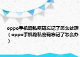 oppo手机隐私密码忘记了怎么处理（oppo手机隐私密码忘记了怎么办）