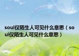 soul仅陌生人可见什么意思（soul仅陌生人可见什么意思）