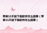 苹果11不能下载软件怎么回事（苹果11不能下载软件怎么回事）