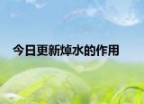 今日更新焯水的作用