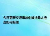 今日更新交通事故中被扶养人应当如何赔偿