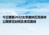 今日更新2022北京奥林匹克森林公园赏花时间及赏花路线