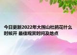 今日更新2022年大围山杜鹃花什么时候开 最佳观赏时间及地点