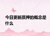 今日更新质押的概念是什么