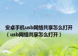 安卓手机usb网络共享怎么打开（usb网络共享怎么打开）