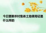 今日更新农村集体土地使用证是什么样的