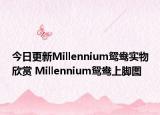 今日更新Millennium鸳鸯实物欣赏 Millennium鸳鸯上脚图