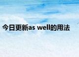 今日更新as well的用法