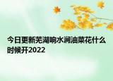 今日更新芜湖响水涧油菜花什么时候开2022