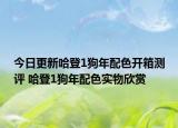 今日更新哈登1狗年配色开箱测评 哈登1狗年配色实物欣赏