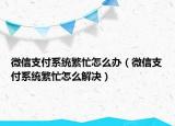 微信支付系统繁忙怎么办（微信支付系统繁忙怎么解决）