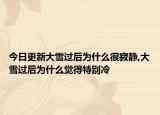 今日更新大雪过后为什么很寂静,大雪过后为什么觉得特别冷
