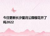 今日更新长沙望月公园樱花开了吗2022