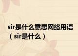 sir是什么意思网络用语（sir是什么）